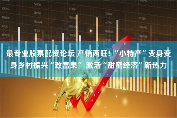 最专业股票配资论坛 产销两旺! “小特产”变身变身乡村振兴“致富果” 激活“甜蜜经济”新热力
