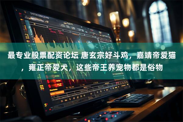 最专业股票配资论坛 唐玄宗好斗鸡，嘉靖帝爱猫，雍正帝爱犬，这些帝王养宠物都是俗物